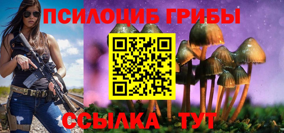 Кунгур  Псилоцибиновые грибы мицелий  Вход с VPN 